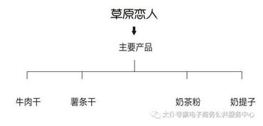 聚力農產品上行，太仆寺旗電商銷售品牌策劃服務全旗 經營電子商務
